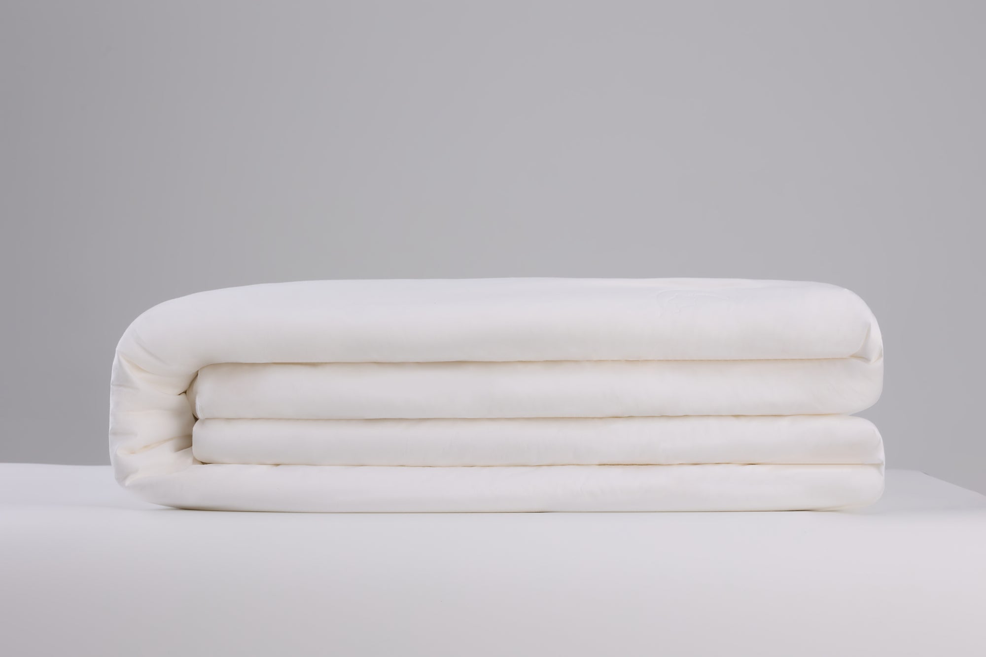 Silk Duvet