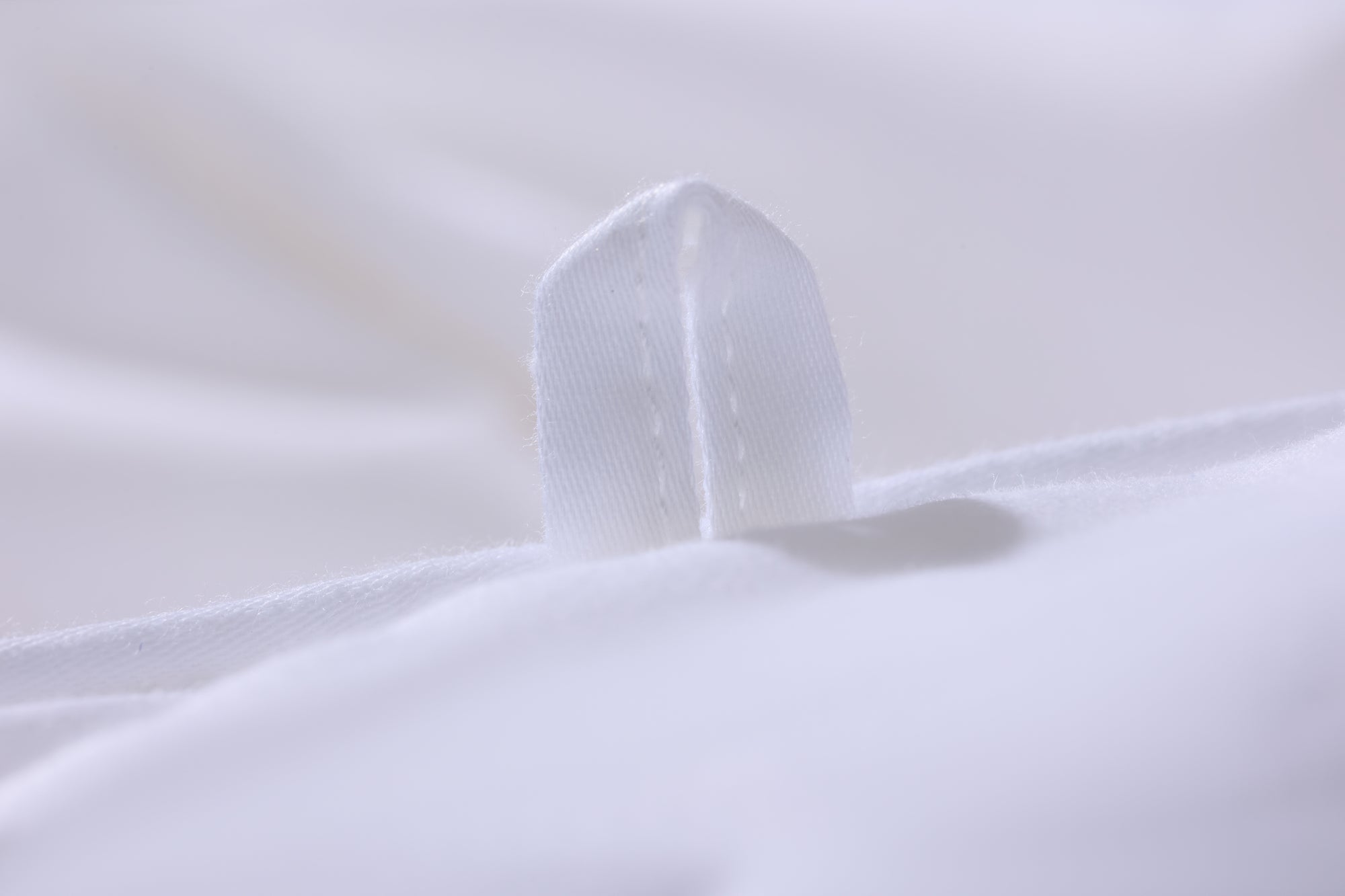 Silk Duvet